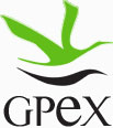 GPEX -  Sociedad de Gestión Pública